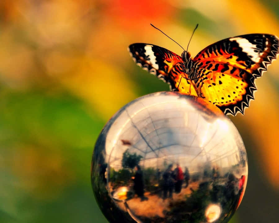 Captivating Butterfly Fluttering Amongst Vibrant Foliage Wallpaper