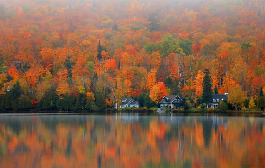 Captivating Fall Photography Wallpaper