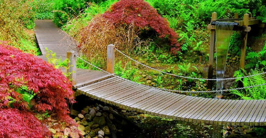 Captivating Garden Bliss Wallpaper