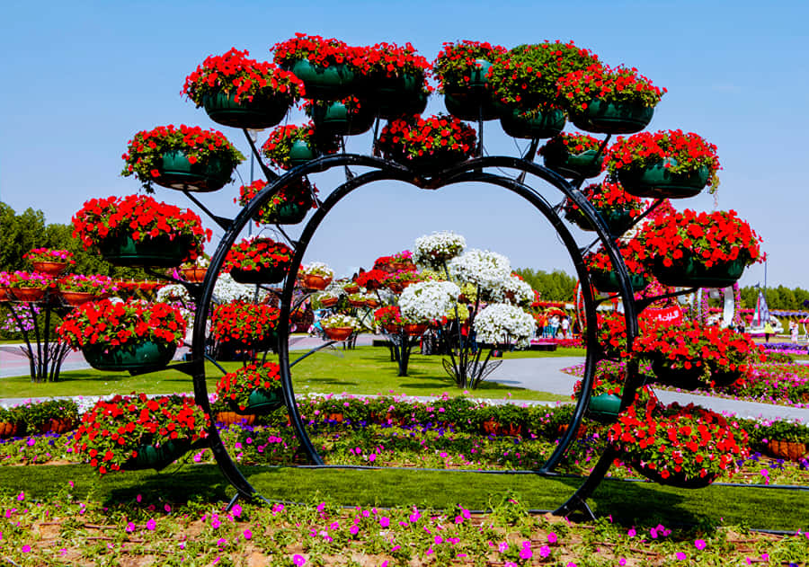 Captivating Garden Design With Beautiful Flowers And Landscape Wallpaper