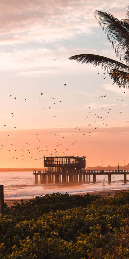 Captivating Landscape At Sunset Wallpaper