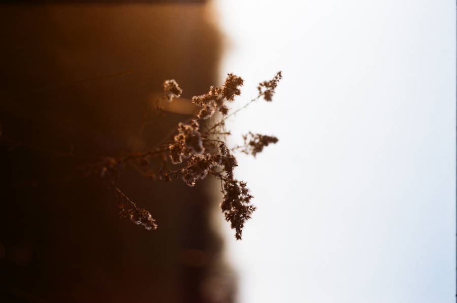 Captivating Mountain Landscape Captured In 4k Resolution Wallpaper