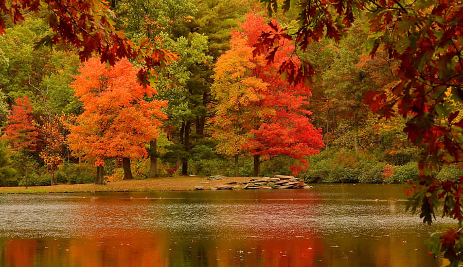 Captivating Serenity At Fall Lake Wallpaper