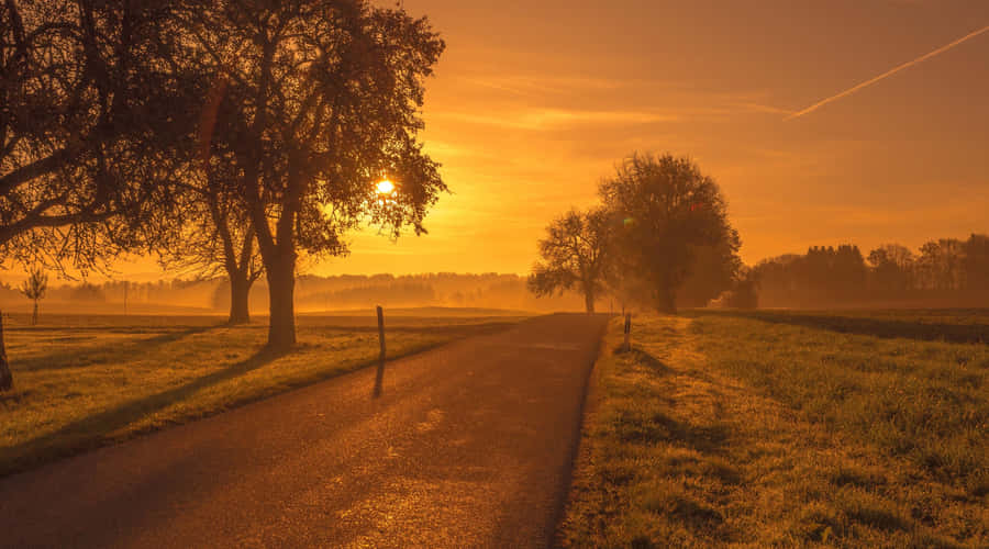 Captivating Sunset Landscape Wallpaper