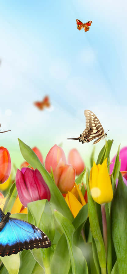 Captivating Tulip Field Landscape Wallpaper