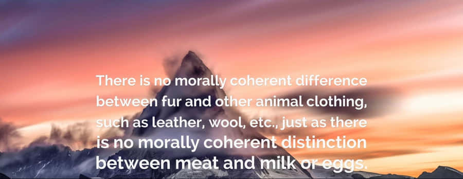 Captivating View Of A Mysterious Forest Path Wallpaper