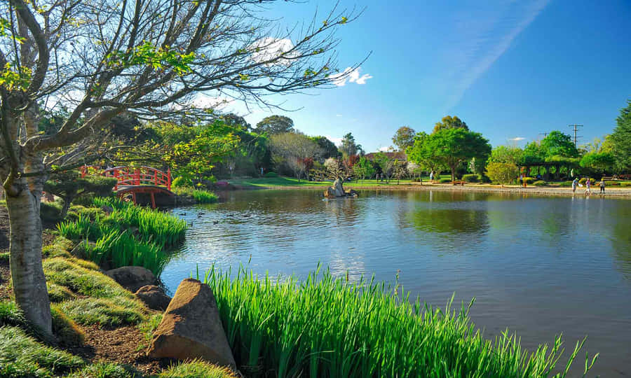 Capture Of Campus Life At The University Of Southern Queensland In Toowoomba Wallpaper