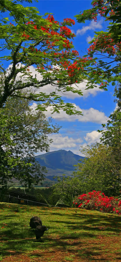 Capture Your Memories With Beautiful Clarity Using Portrait Mode. Wallpaper