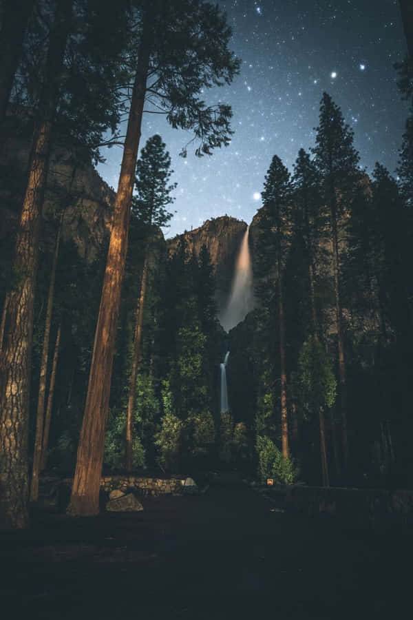 Capturing A Moment In Time With Portrait Mode - Photo By Lily Wallpaper