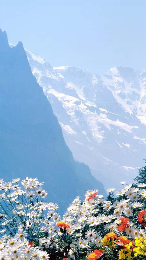 Capturing Magical Moments With Portrait Mode Wallpaper