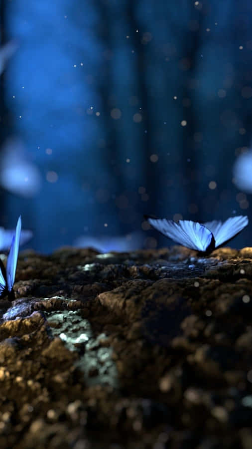 Capturing The Beauty Of A Blue Butterfly Wallpaper