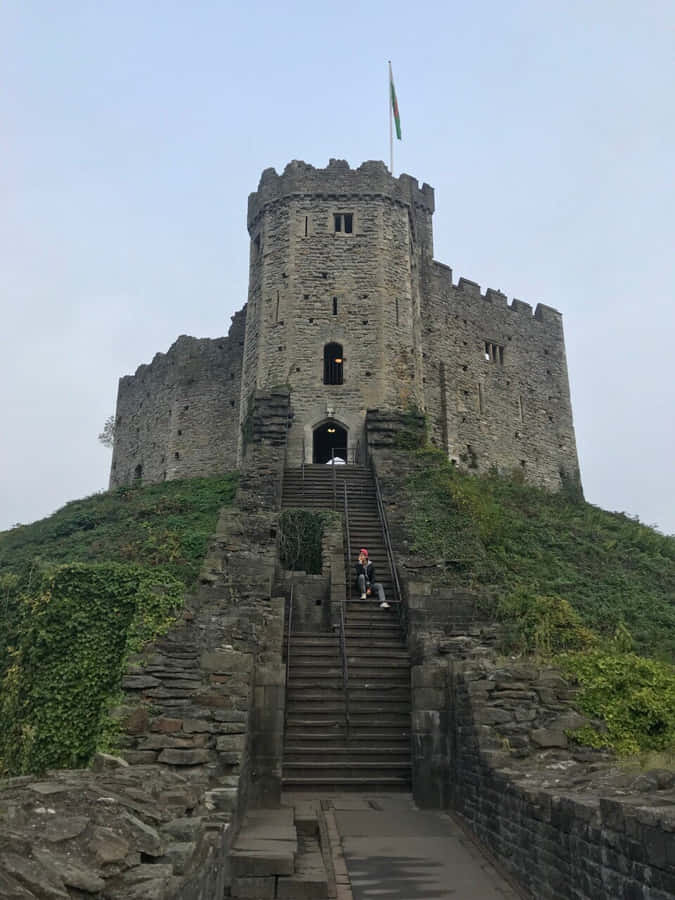 Cardiff Castle Ladder Wallpaper