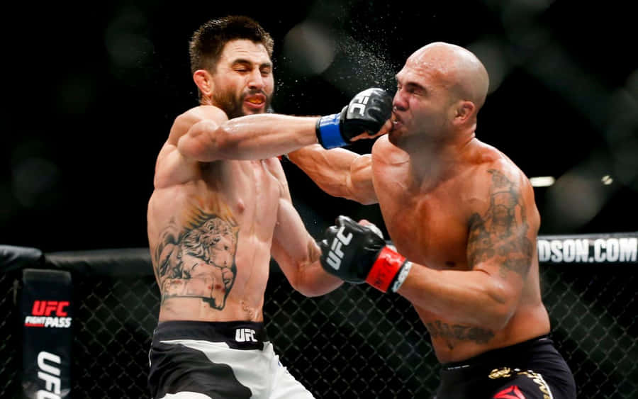 Carlos Condit And Robbie Lawler Wallpaper