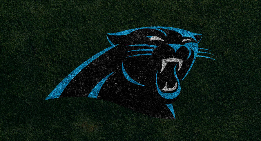 Carolina Panthers Painted Logo On Grass Wallpaper