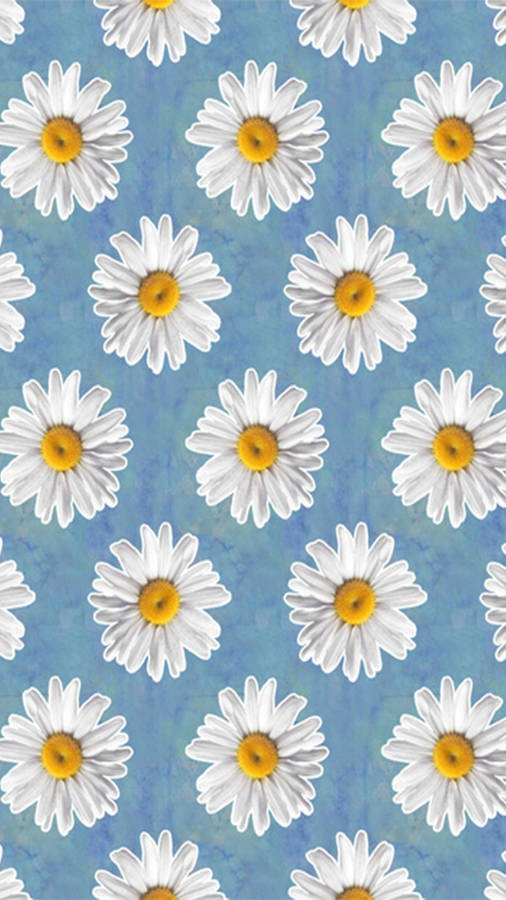 Cartoon Daisy Aesthetic Blue Wallpaper