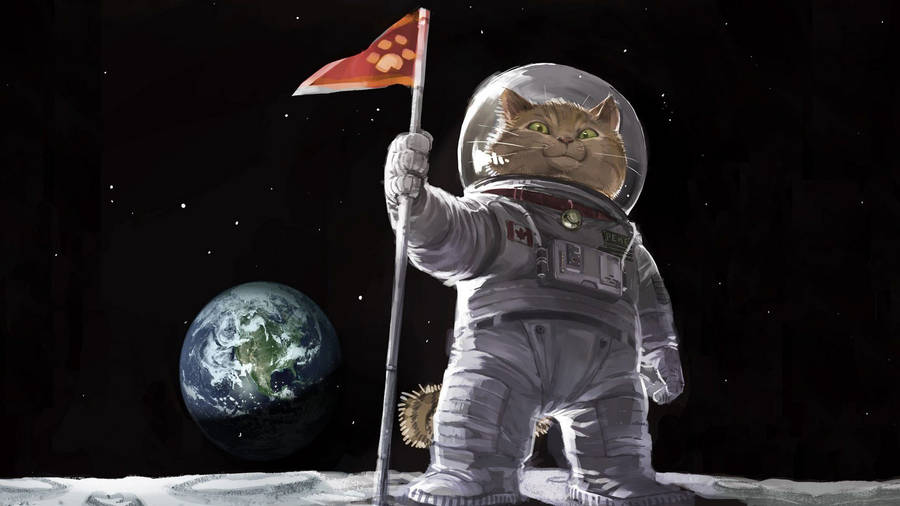 Cat Art Astronaut Cat Wallpaper