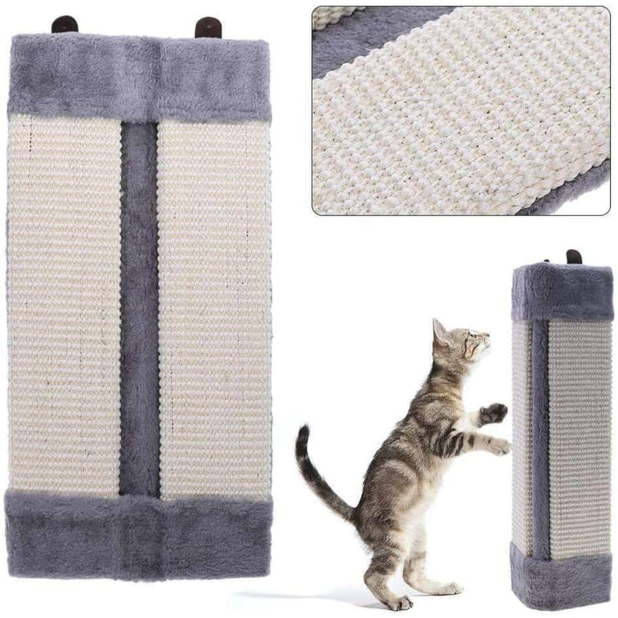 Cat Scratching Post In An Attractive Living Room Wallpaper