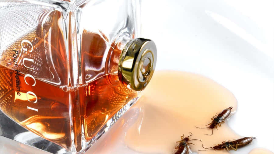 Catch A Sweet Whiff Of The Spring Air Wallpaper