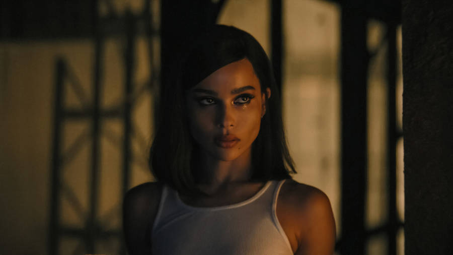 Catwoman In The Batman Movie Wallpaper