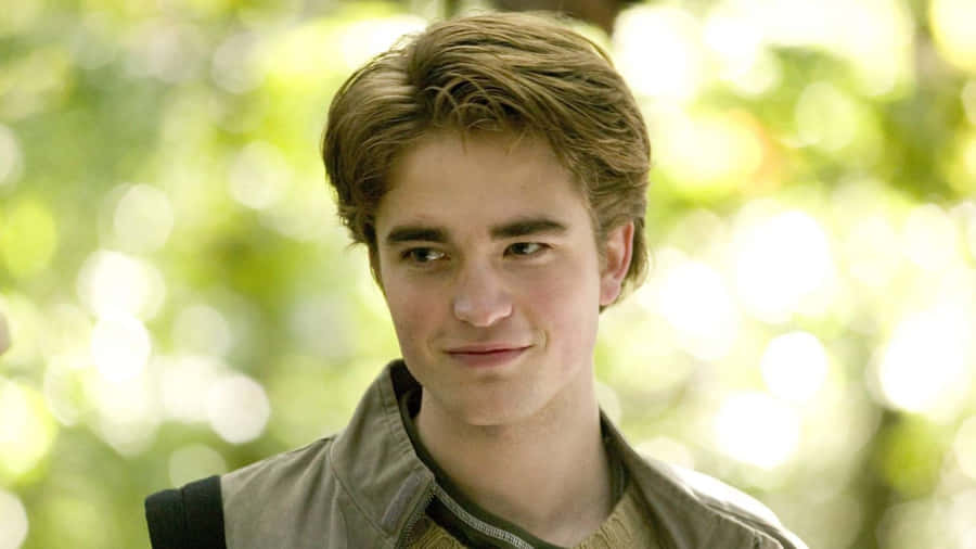 Cedric Diggory Character Portrait Wallpaper