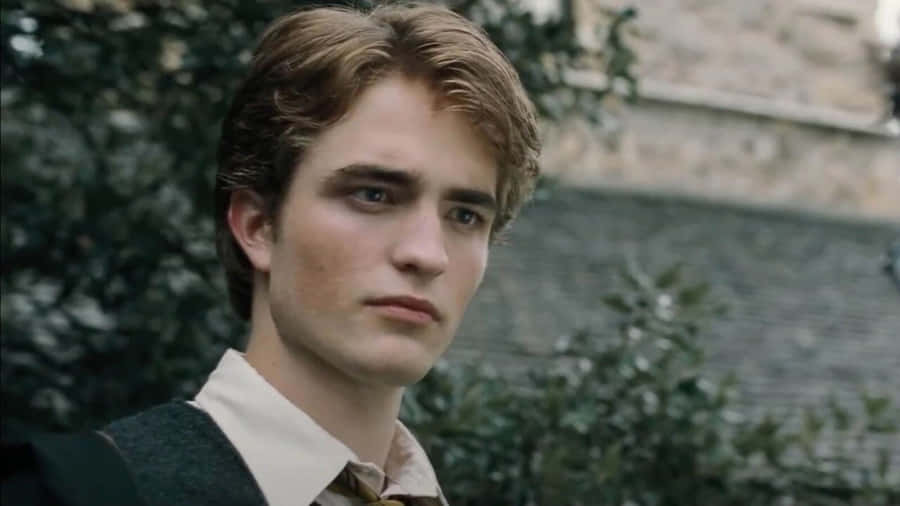 Cedric Diggory Character Profile Wallpaper