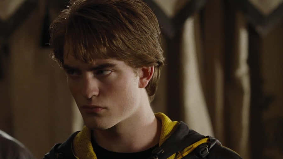 Cedric Diggory Character Profile Wallpaper