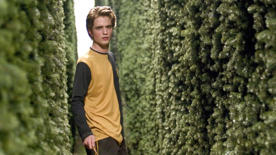 Cedric Diggory Maze Challenge Wallpaper