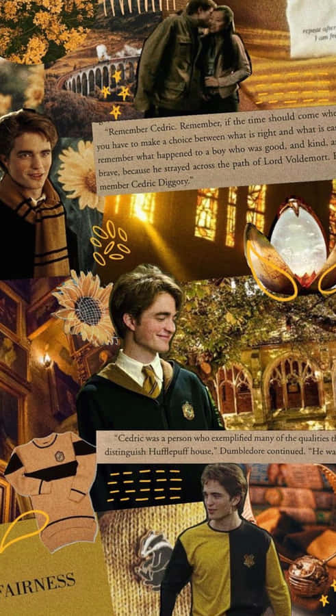 Cedric Diggory Tribute Wallpaper