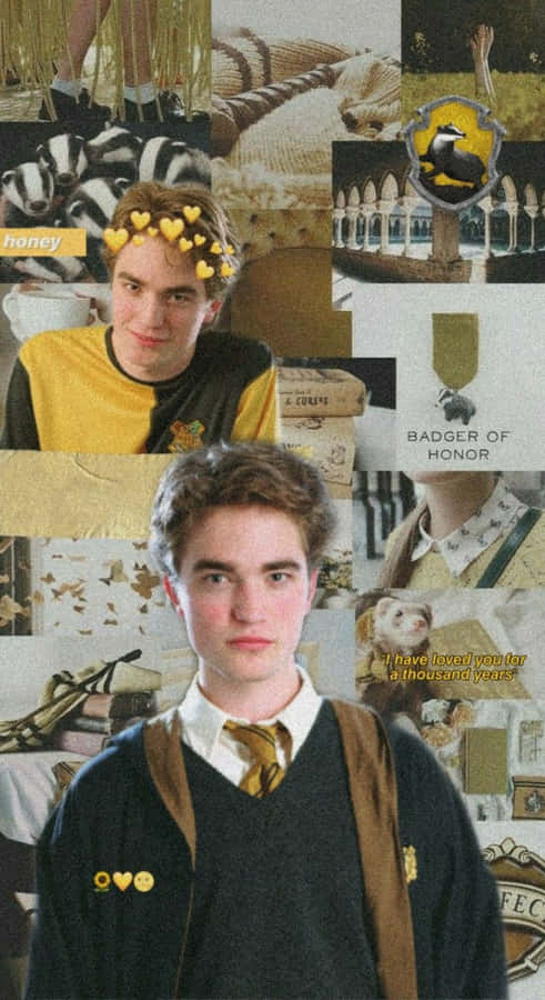 Cedric Diggory Tribute Wallpaper