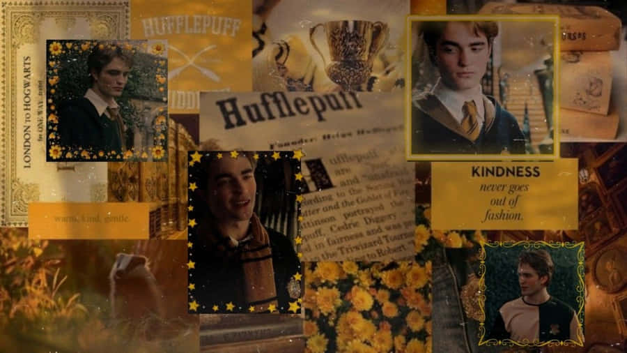 Cedric Diggory Tribute Wallpaper