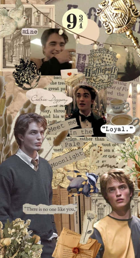 Cedric Diggory Tribute Wallpaper