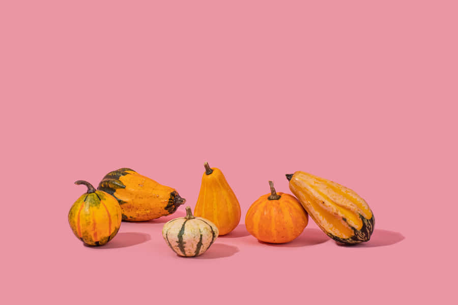 Celebrate Fall With A Pink Pumpkin Wallpaper