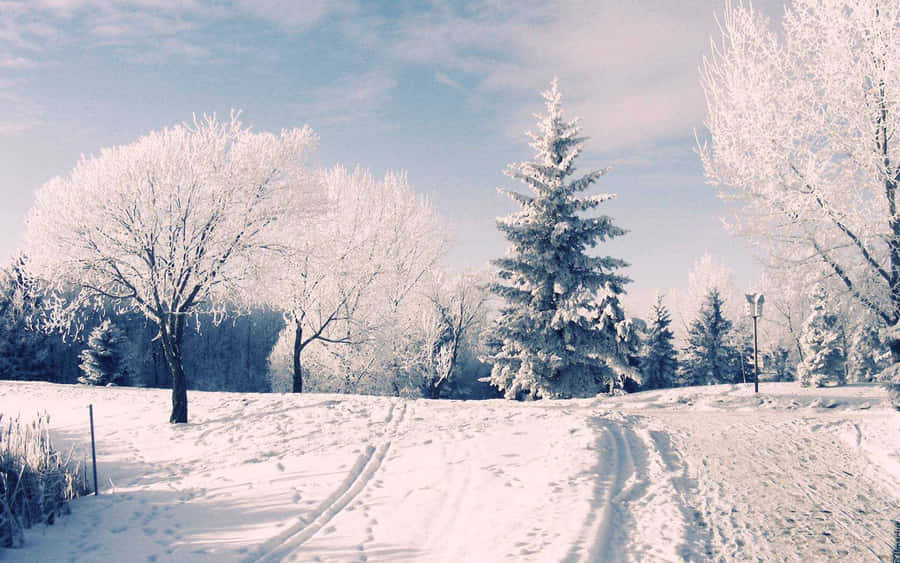Celebrate The Holidays In A Winter Wonderland Wallpaper