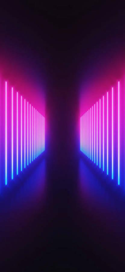 Celebrating Bisexuality With Neon Lights Wallpaper