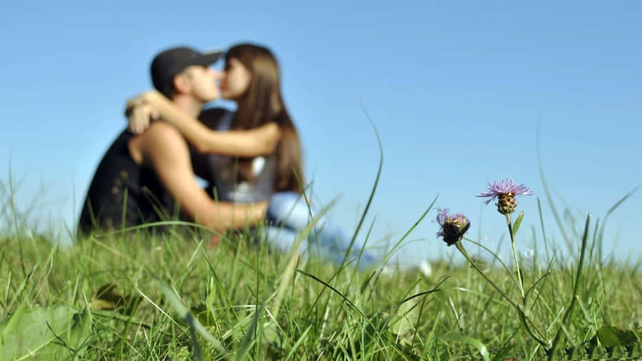 Celebrating Love Together Wallpaper