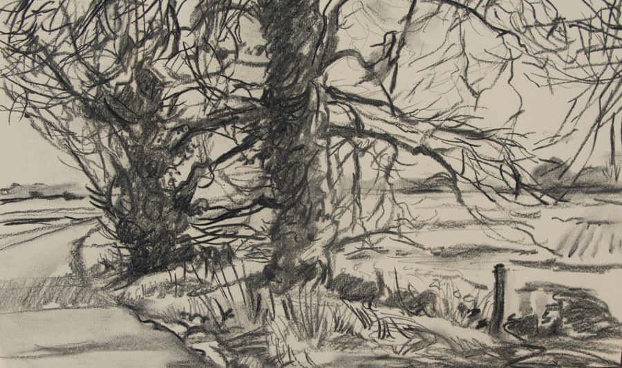 Charcoal Drawing Of A Majestic Lion Wallpaper