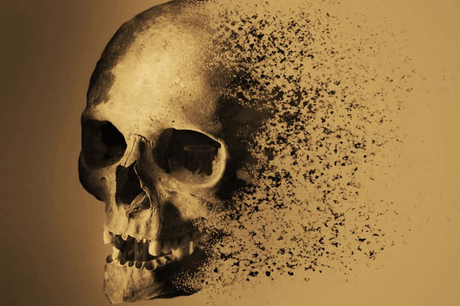 Charming Sunrise In Bedwell Bayfront Park Wallpaper