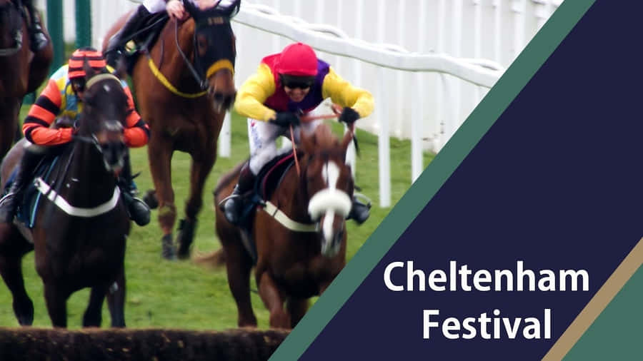 Cheltenham Festival Horse Racing Action Wallpaper