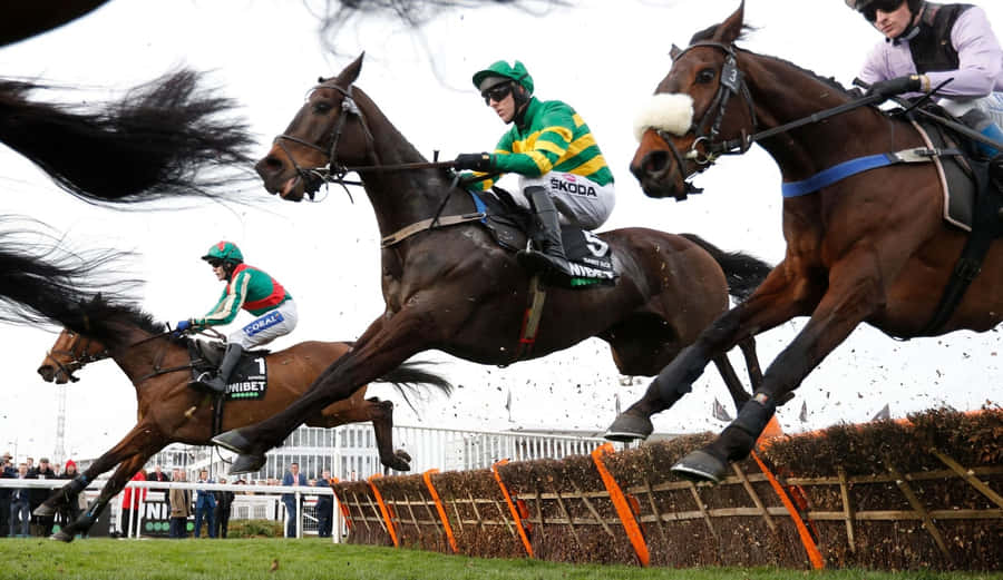 Cheltenham Festival Horse Racing Action Wallpaper