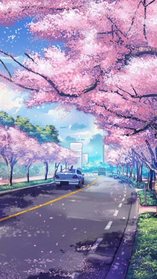 Cherry Blossom Boulevard Anime Scene Wallpaper