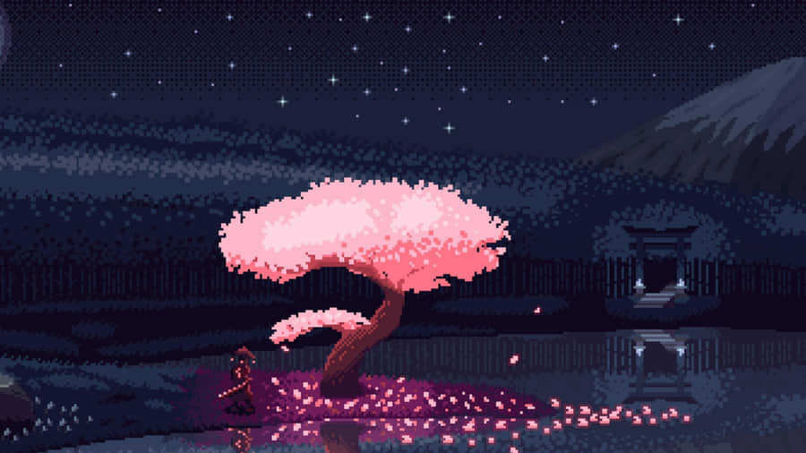 Cherry Blossom Night Scene Wallpaper