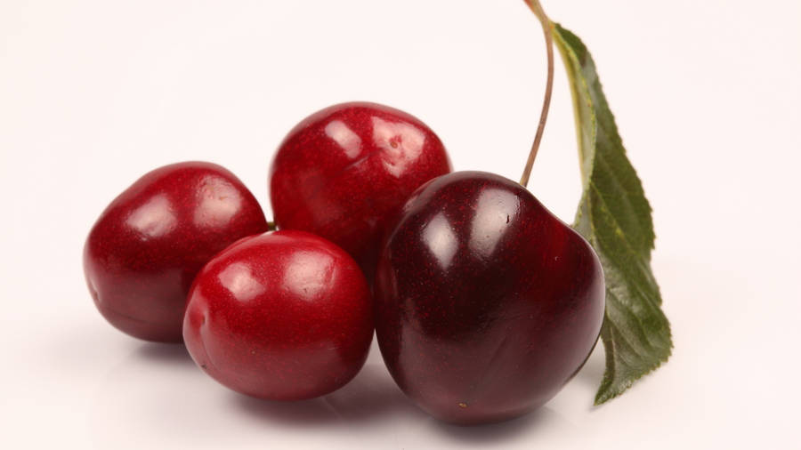 Cherry Varieties Wallpaper