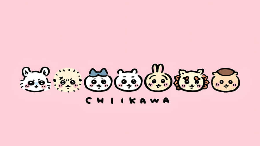 Chiikawa Characters Lineup Wallpaper
