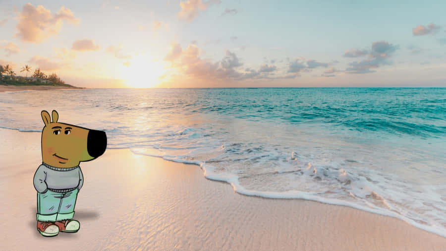 Chill Guy At Beach Wallpaper