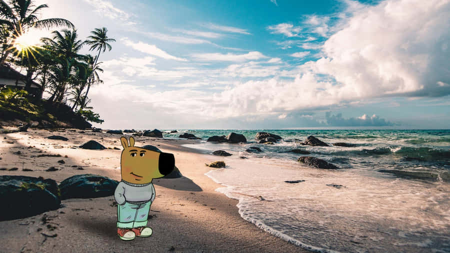 Chill Guy Beach Vibes Wallpaper