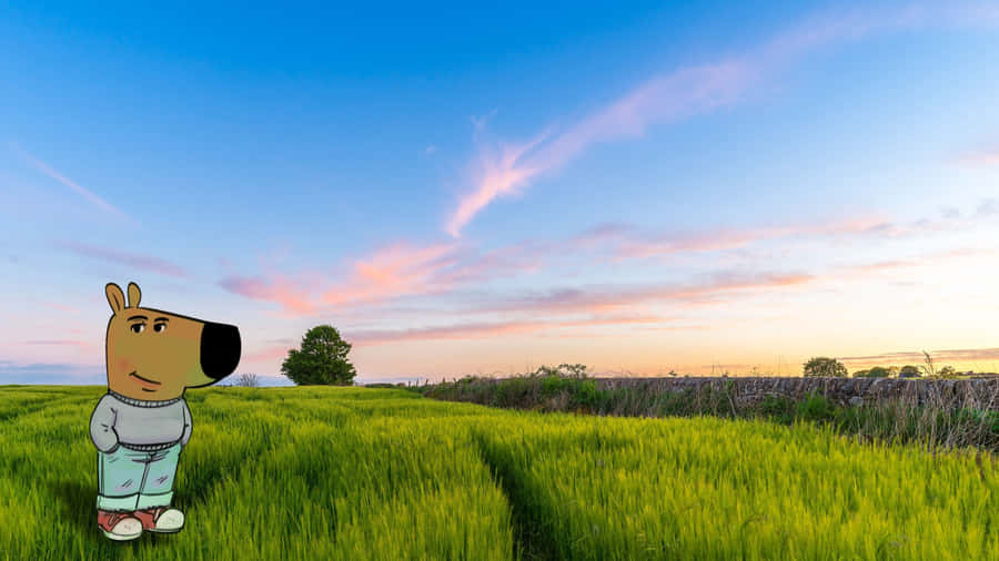 Chill Guy Relaxing Outdoors Wallpaper