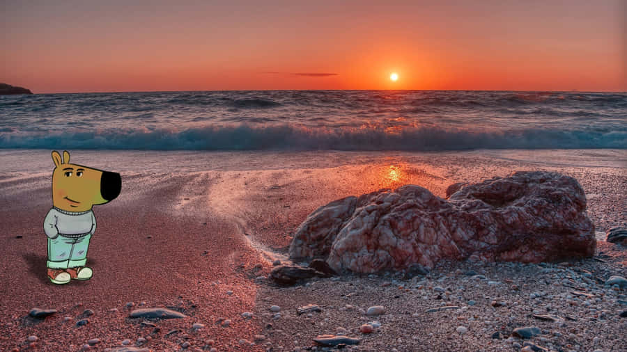 Chill Guy Sunset Beach Wallpaper