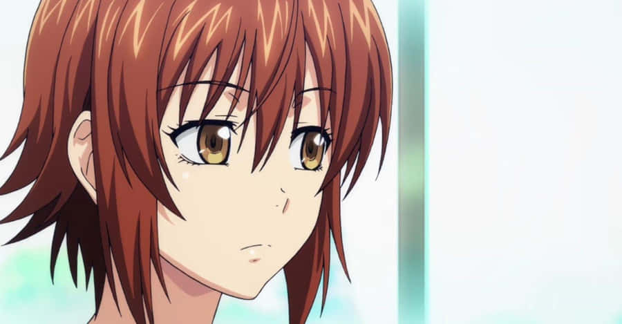 Chisa Kotegawa, The Vivacious Beauty From Grand Blue. Wallpaper