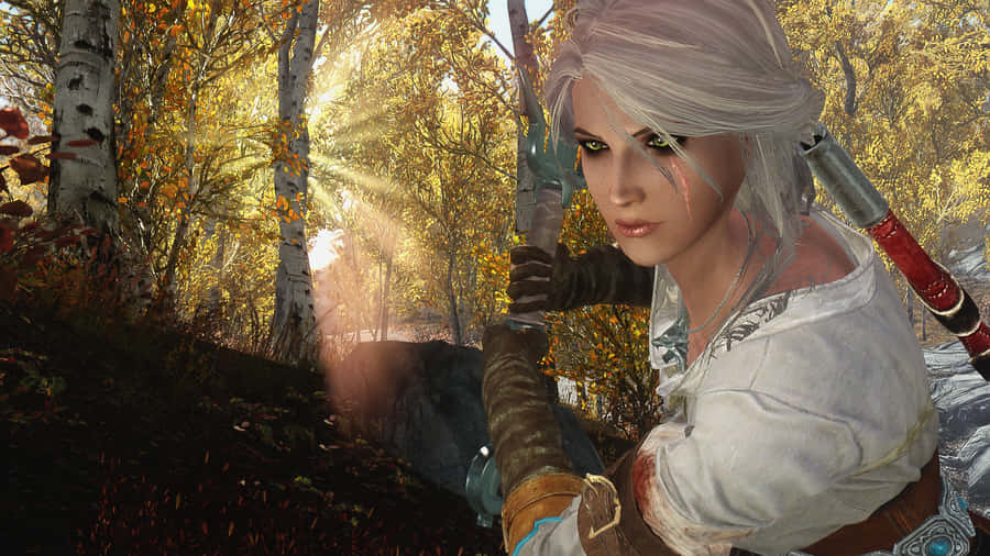 Ciri Archerin Autumn Forest Wallpaper