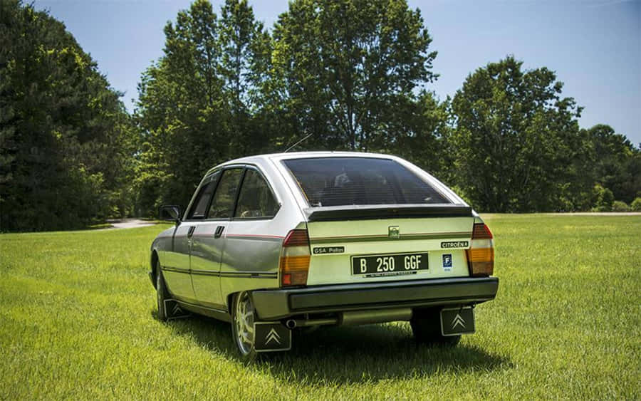 Citroen G S Parkedon Grass Wallpaper